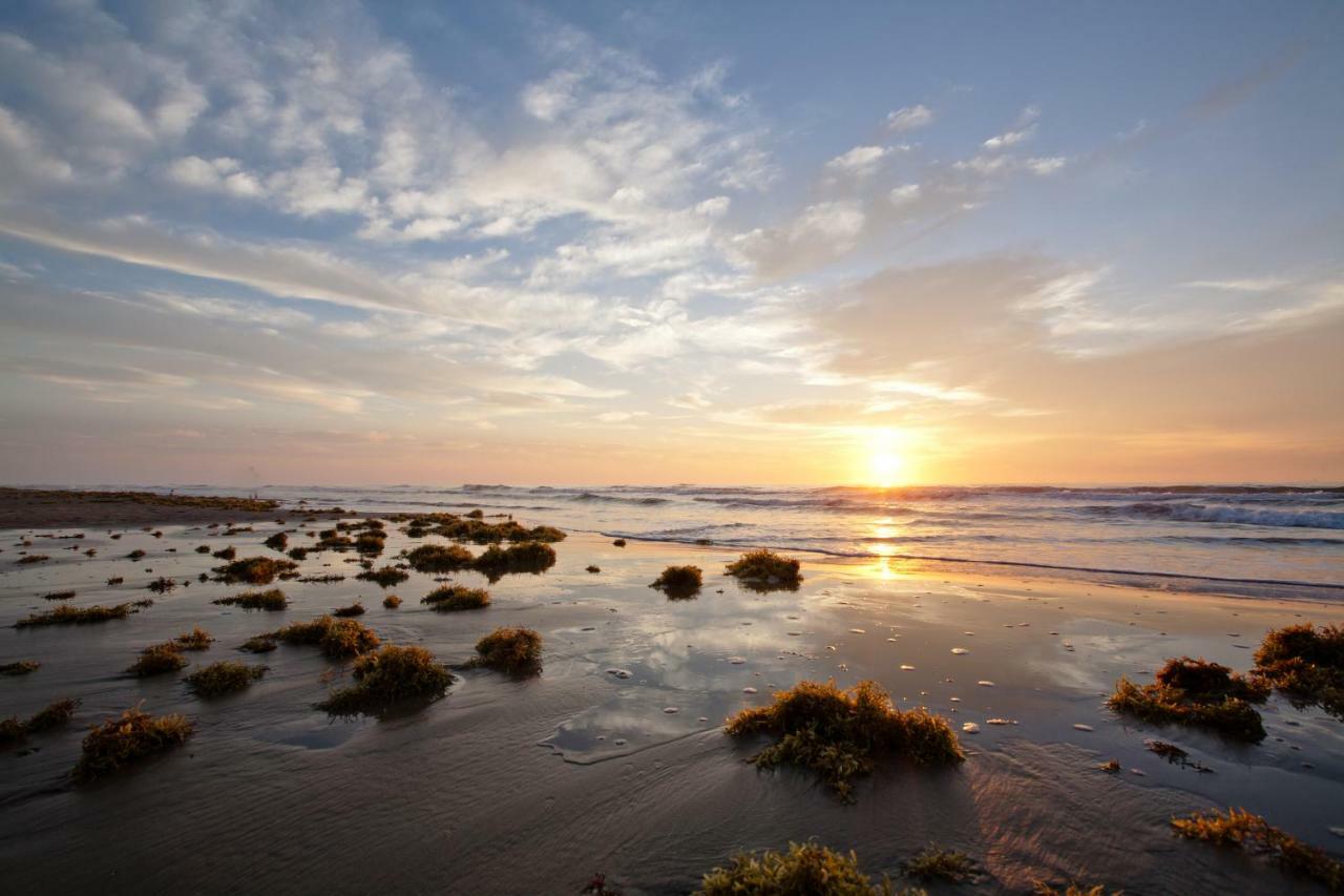 Campeche Cove #1 Hotell South Padre Island Exteriör bild